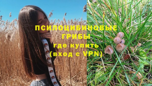 каннабис Алексеевка