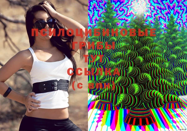 гашиш Алексин