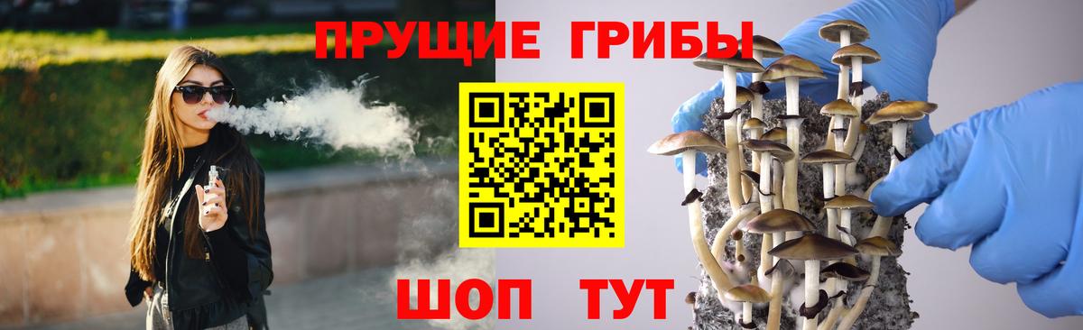 Псилоцибиновые грибы Psilocybine cubensis  Вход с VPN  Лобня 